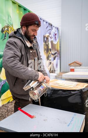 Un apiculteur s'occupe d'une ruche en utilisant un fumeur à Dancing Bee Farm, travaillant soigneusement pour calmer les abeilles lors de l'inspection sur une journée fraîche de printemps Banque D'Images