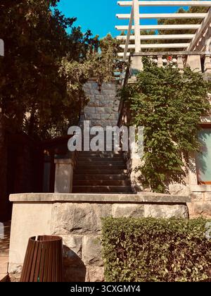 Charmante villa extérieure avec un escalier en pierre couvert de feuilles de vigne vertes et entouré d'arbres luxuriants. La scène capture une atmosphère paisible. Banque D'Images