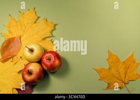 Plat saisonnier avec pommes rouges et jaunes entourées de feuilles d'érable d'automne brillantes sur un fond vert. Cette composition d'automne confortable est parfaite Banque D'Images