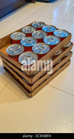 Ottawa ON, Canada - 07 septembre 2025 : pile de boîtes de conserve de nourriture humide pour chat dans un emballage en carton, présentant diverses saveurs et couleurs vives, idéales pour les animaux de compagnie Banque D'Images