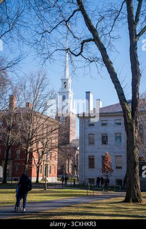 Un visiteur se promène dans Harvard Yard tandis que le clocher blanc de l'église Memorial s'élève derrière des bâtiments historiques en briques rouges et en pierre sous un ciel clair Banque D'Images