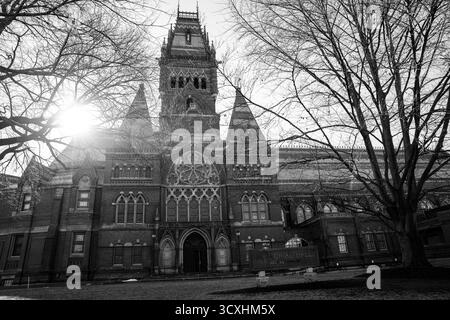 Une image en noir et blanc du Memorial Hall de l'Université Harvard montre la lumière du soleil brisant à travers les arbres d'hiver, mettant en valeur la façade gothique du bâtiment Banque D'Images