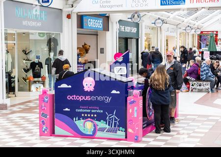 Octopus Energy, fournisseur britannique de gaz et de marketing d'électricité stand dans le centre-ville de Bury pour commercialiser à de nouveaux clients résidentiels, Manchester, Royaume-Uni Banque D'Images