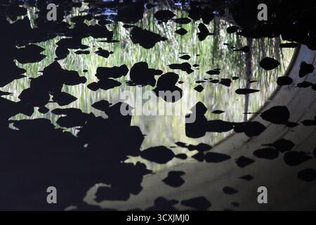 Vue abstraite atmosphérique des silhouettes rocheuses et des reflets sur l'eau Banque D'Images