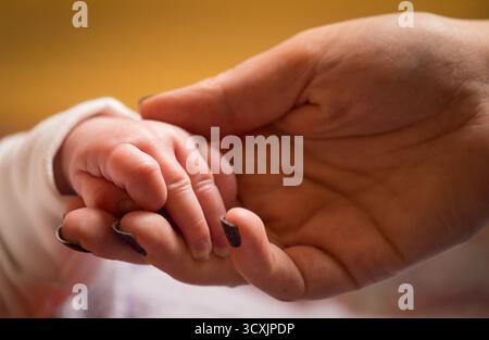 Dossier photo datée du 23/01/16 d'une mère tenant la main d'un nouveau bébé. Les nouvelles mères qui emmènent leur bébé à des cours de chant en groupe peuvent réduire les symptômes de la dépression postnatale, suggère une nouvelle étude. Date d'émission : mercredi 15 octobre 2025. Banque D'Images