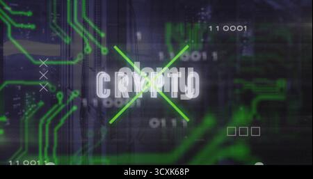 Affichage de texte CRYPTO pulsé sous X vert dans le centre de données, avec traces de circuit et chiffres binaires Banque D'Images