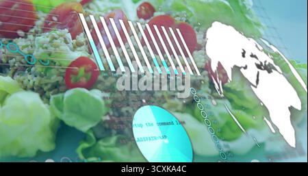 Montrant bol de salade de laitue et de quinoa avec superpositions, graphique à barres, carte du monde sur la surface de la cuisine Banque D'Images