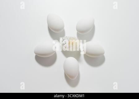 Oeufs de poule en forme de fleur. Centré sur un fond blanc. Concept du temps de l'éveil de la nature Banque D'Images