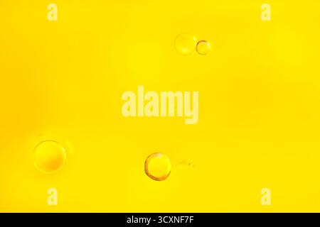 Plan macro de bulles d'huile transparentes et jaunes flottant sur un fond dégradé jaune. Abstraction propre, espace de copie Banque D'Images