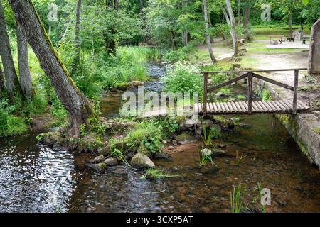 Un ruisseau tranquille et paisible coule doucement à travers une verdure vibrante, avec un charmant pont en bois pour traverser Banque D'Images
