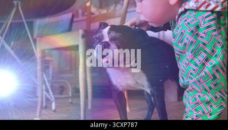 Garçon penché portant une chemise verte caressant un chien noir et blanc dans la salle à manger, avec un reflet de lentille Banque D'Images