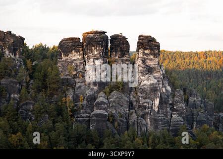 Formation rocheuse de grès dans la Suisse saxonne en Allemagne de l'est. Belle nature dans la saison d'automne. Le parc national est une attraction. Banque D'Images
