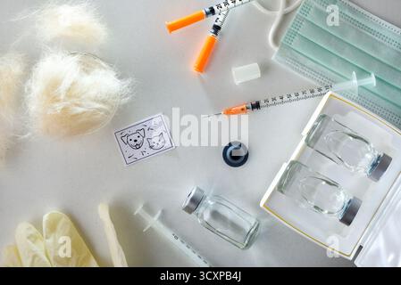 Détail du concept de vaccination contre les pellicules et les cheveux pour animaux de compagnie avec deux fioles en verre avec doses de vaccin et seringue sur la table blanche de l'hôpital et le bol plein de cheveux Banque D'Images