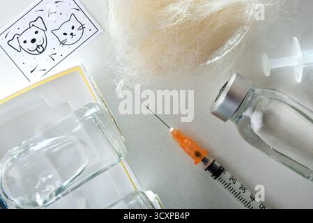 Détail du concept de vaccination contre les pellicules et les cheveux pour animaux de compagnie avec deux flacons en verre avec doses de vaccin et seringue sur la table blanche avec bol plein de cheveux et post Banque D'Images