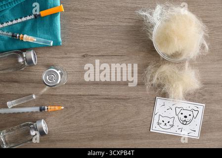 Arrière-plan avec détail d'un ensemble de vaccin contre les allergies pour animaux de compagnie avec plusieurs bouteilles de dose et seringues à gauche et un bol plein d'allergènes avec po conceptuel Banque D'Images