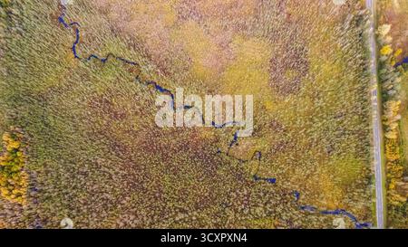 Marais lituaniens aux couleurs automnales et au tortueux ruisseau Vykšia, capturé par un drone. Une route est visible sur la droite. Varėna district, Dzūkija Banque D'Images