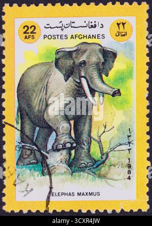 Timbre-poste représentant une illustration détaillée d'un éléphant d'Asie sur fond jaune et vert. Le timbre comporte un texte en arabe et en français, Banque D'Images