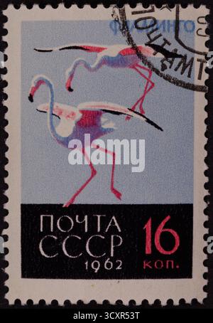 Un timbre-poste vintage présente deux flamants roses stylisés, bleus et blancs sur fond bleu clair. Le fond est noir Banque D'Images