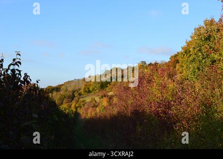 Une vallée à l'est du village de Shoreham, Kent, appelée Magpie Bottom et Fackenden Down, près de Darent Valley, au début de l'automne. Randonnée pédestre près de Londres, Royaume-Uni Banque D'Images