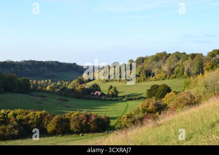 Une vallée à l'est du village de Shoreham, Kent, appelée Magpie Bottom et Fackenden Down, près de Darent Valley, au début de l'automne. Randonnée pédestre près de Londres, Royaume-Uni Banque D'Images