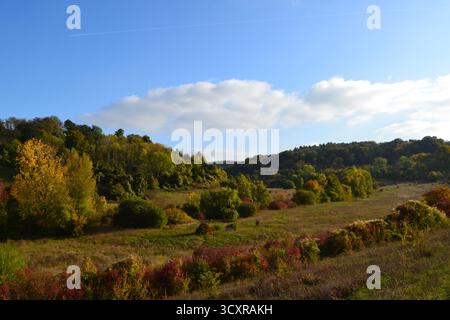 Une vallée à l'est du village de Shoreham, Kent, appelée Magpie Bottom et Fackenden Down, près de Darent Valley, au début de l'automne. Randonnée pédestre près de Londres, Royaume-Uni Banque D'Images