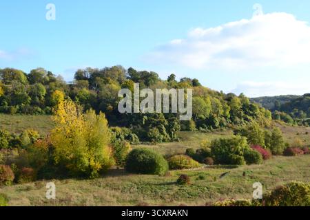 Une vallée à l'est du village de Shoreham, Kent, appelée Magpie Bottom et Fackenden Down, près de Darent Valley, au début de l'automne. Randonnée pédestre près de Londres, Royaume-Uni Banque D'Images