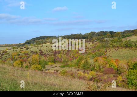 Une vallée à l'est du village de Shoreham, Kent, appelée Magpie Bottom et Fackenden Down, près de Darent Valley, au début de l'automne. Randonnée pédestre près de Londres, Royaume-Uni Banque D'Images
