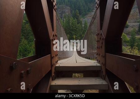 Long pont suspendu en bois oscillant au-dessus de Forest Canyon avec des gens marchant à distance. Forêt nationale de Kootenai dans le Montana. Suspension métallique rouillée Banque D'Images