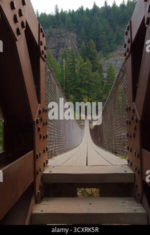 Long pont suspendu en bois oscillant au-dessus de Forest Canyon avec des gens marchant à distance. Forêt nationale de Kootenai dans le Montana. Suspension métallique rouillée Banque D'Images
