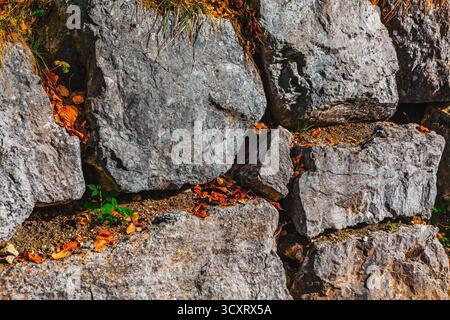 Un mur de pierre accidenté de gros rochers gris irréguliers s'élève au milieu d'une scène automnale, avec de la mousse verte et des touffes d'herbe qui poussent des crevasses Banque D'Images