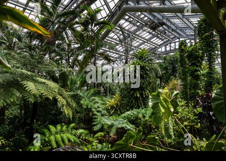 Nautre capturé au jardin botanique de Kyoto au Japon Banque D'Images