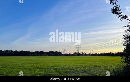 Vue du poteau de ligne haute tension sur les champs verts et les arbres Banque D'Images