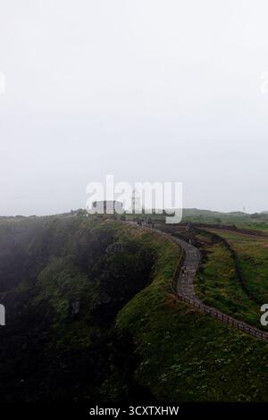 Sentier de randonnée côtière du Cap Seopjikoji, île de Jeju Banque D'Images