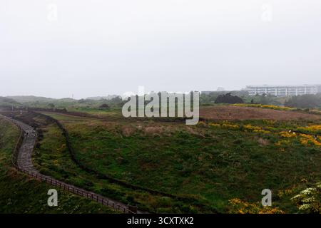 Sentier de randonnée côtière du Cap Seopjikoji, île de Jeju Banque D'Images