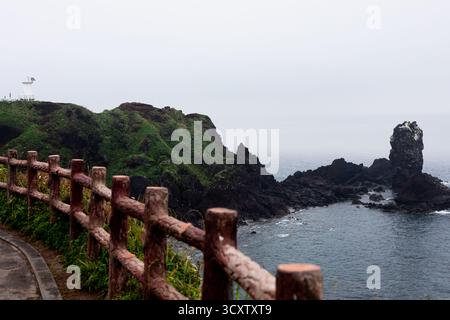 Sentier de randonnée côtière du Cap Seopjikoji, île de Jeju Banque D'Images