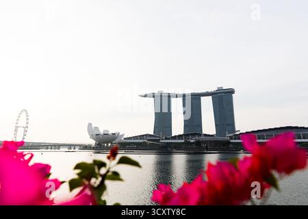Une vue florale de Marina Bay Sands Hotel Tower 1 Banque D'Images