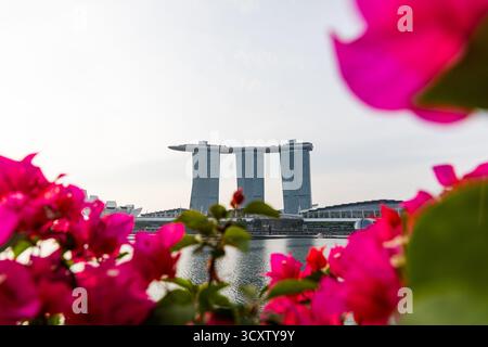 Une vue florale de Marina Bay Sands Hotel Tower 1 Banque D'Images