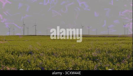 Champ de floraison jaune étiré couvrant la ferme rurale sous le ciel gris, avec des éoliennes à l'horizon Banque D'Images