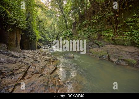 Rivière coulant le long d'un lit rocheux dans la jungle à la chute d'eau Kanto Lampo à Gianyar, Bali, Indonésie. Banque D'Images