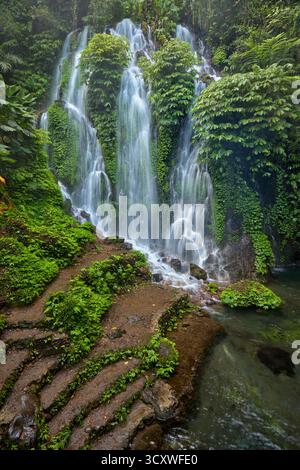 Vue panoramique sur la cascade de Banyu Wana Amertha entourée par la forêt tropicale. Buleleng Regency, Bali, Indonésie. Banque D'Images