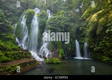 Vue panoramique sur la cascade de Banyu Wana Amertha entourée par la forêt tropicale. Buleleng Regency, Bali, Indonésie. Banque D'Images