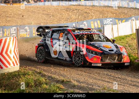 Adrien FOURMAUX(Fra),Alexandre CORIA(Fra) sur un HYUNDAI i20 N Rally1 de l'équipe HYUNDAI SHELL MOBIS WORLD RALLY TEAM lors du RALLYE FIA WRC CENTRAL EUROPEAN Passau, Allemagne, le 16 octobre 2025 Banque D'Images