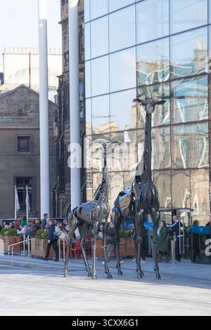 Les sculptures Dreaming spires Girafe à Édimbourg par Helen Denerley en Écosse au Royaume-Uni Banque D'Images