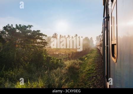 Vue de la lumière dorée du soleil perçant le paysage brumeux vu d'une fenêtre de train, projetant de longues ombres à travers les voies, Kandy, Province centrale, Sri Lanka. Banque D'Images