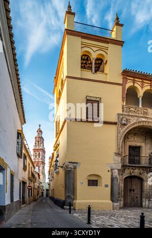 Explorez la superbe ligne d'horizon d'Ecija, où la façade plateresque du Palacio de Valdehermoso rencontre la tour baroque de San Juan Bautista. Banque D'Images