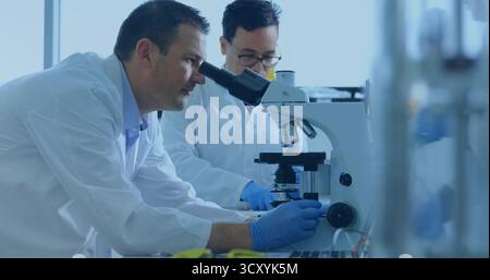 Chercheur peering tournant le bouton de mise au point sur le microscope composé sur la paillasse de laboratoire, avec des béchers près de la fenêtre Banque D'Images