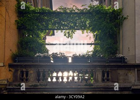 Vue ensoleillée à travers une terrasse remplie de plantes, et un treillis couvert de verdure torse luxuriante, encadrant un ciel de coucher de soleil, Brera, Milan, Lombardie, Italie Banque D'Images