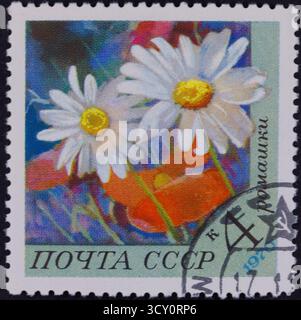 Un timbre-poste représente deux marguerites blanches avec des centres jaunes sur un fond éclatant de flore bleue et rouge, avec une inscription en cyrillique. Banque D'Images