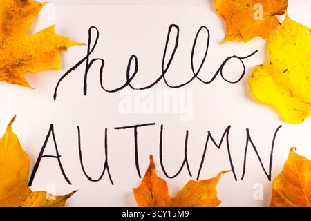 Bonjour affiche de voeux d'automne avec feuilles d'automne encadrant fond blanc pour décor d'image saisonnier Banque D'Images