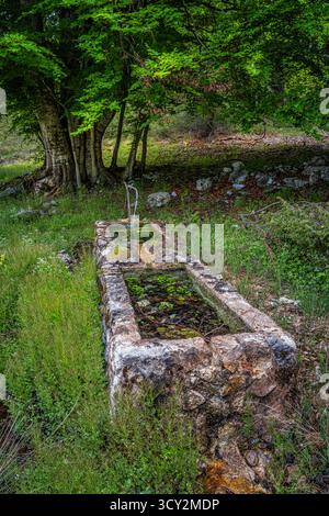 Une vieille source de montagne, fonte le Cravare, dans le parc national de Maiella. Abruzzes, Italie, Europe. Banque D'Images